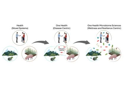 Images representing siloed health systems, disease-centric One Health system and One-Health Microbiome sciences